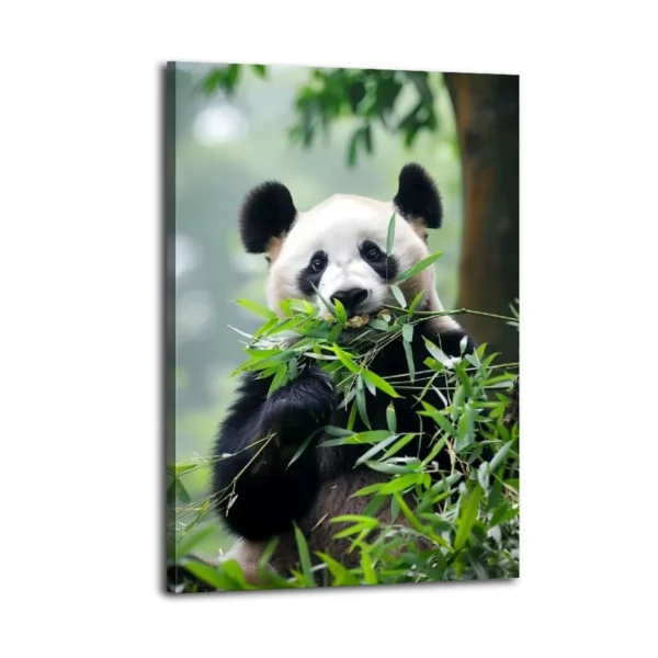 Panda Canvas Art Oil And Canvas