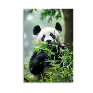 Panda  Canvas Art  Oil And Canvas