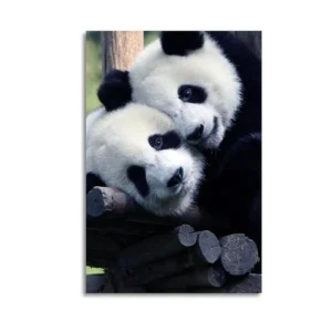 Panda Canvas Painting Canvas Art