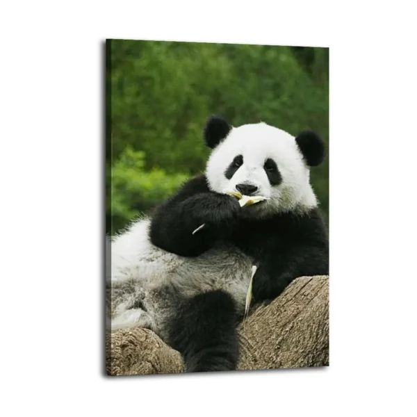 Panda Oil Pastel Artwork  Canvas Art - Image 2