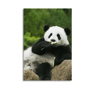 Panda Oil Pastel Artwork  Canvas Art