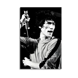 Bruce Lee Canvas Art oil on canvas